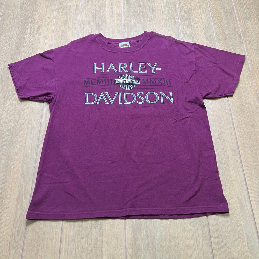 Harley Davidson Reno Nevada T Shirt Timeless‎ Vibrations Burgundy Sz  Large Y2K
